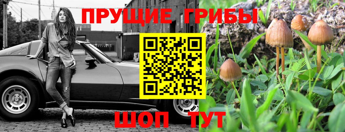 Псилоцибиновые грибы мухоморы  Галлюциногенные грибы прущие грибы  Кимовск  Вход с VPN 